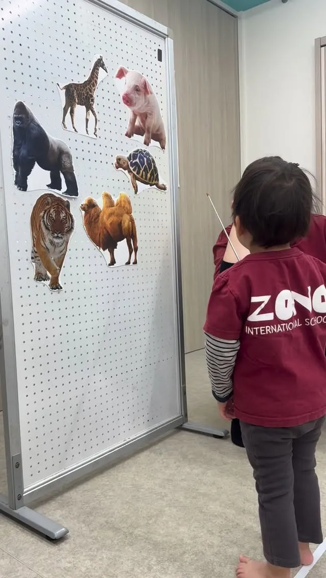 Pre-Kのレッスンの様子です🐢🦁