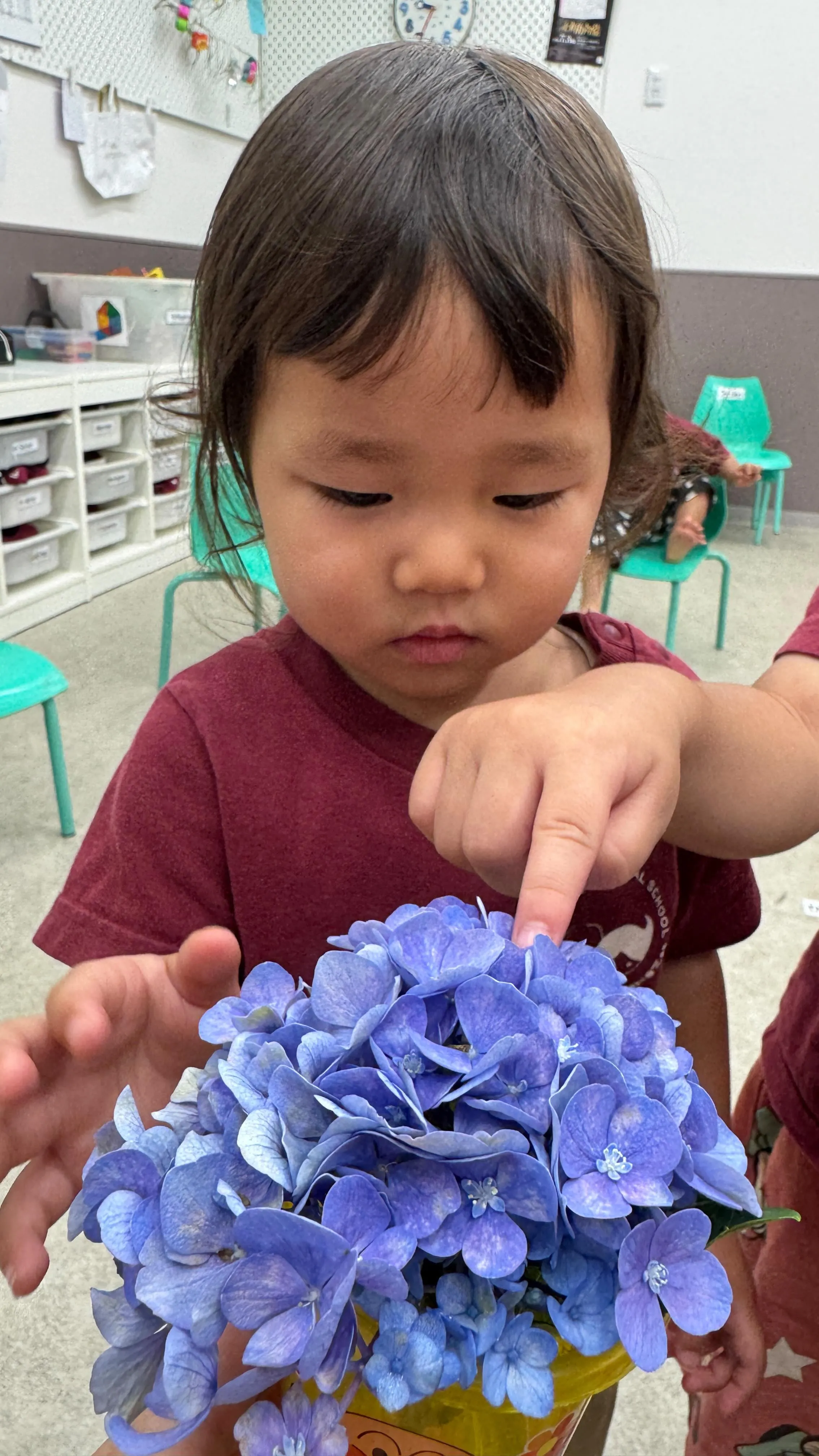 紫陽花に興味津々のみんな✨